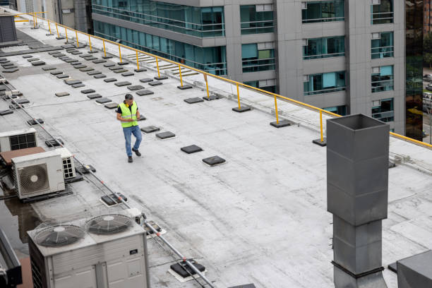 Best Roof Insulation Installation  in Carthage, NC