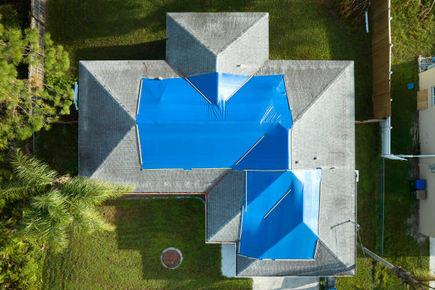 Best Asphalt Shingles Roofing  in Carthage, NC