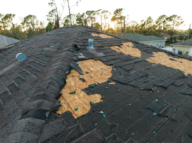 Best Metal Roofing Installation  in Carthage, NC